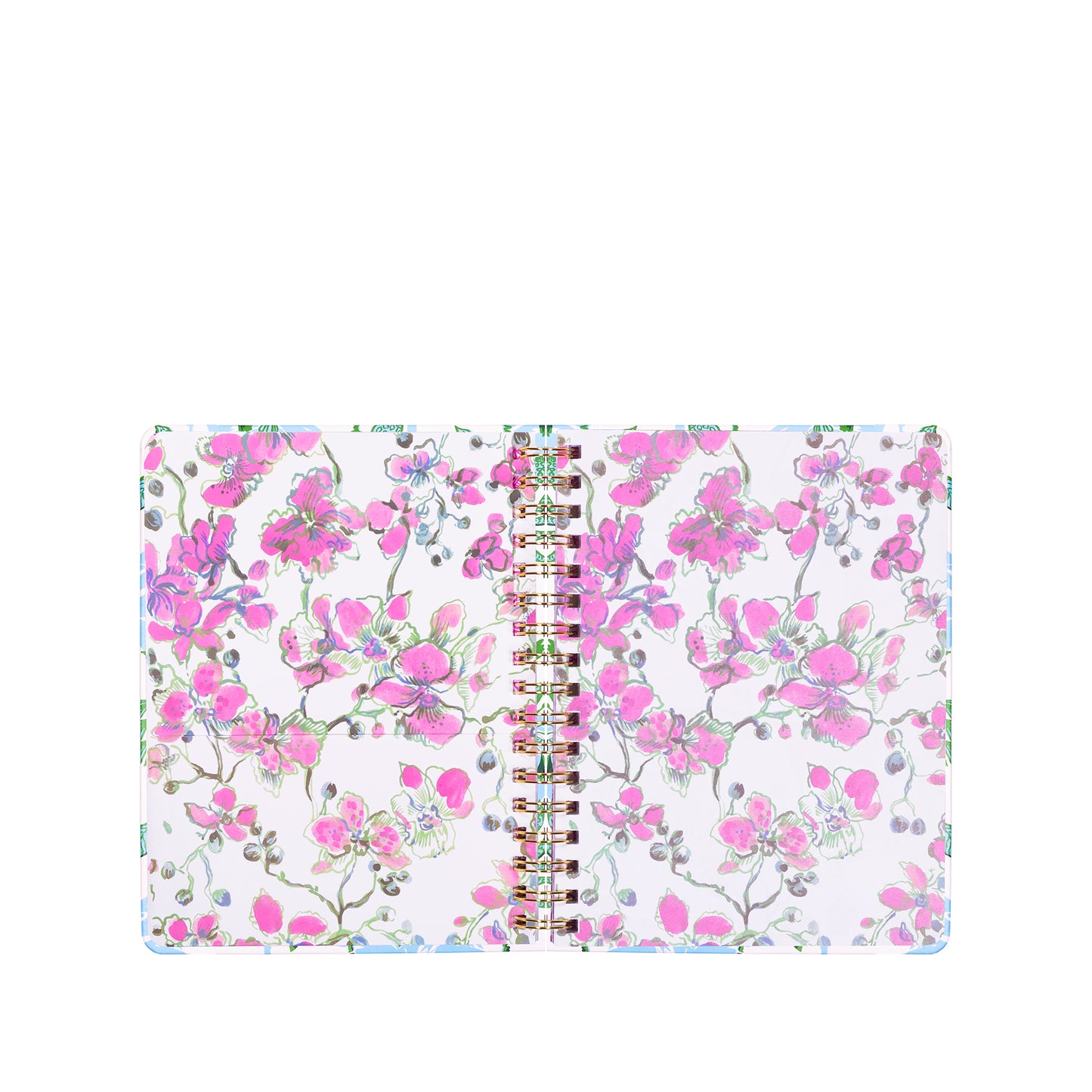 Large 12 Month Agenda, Endless Summer