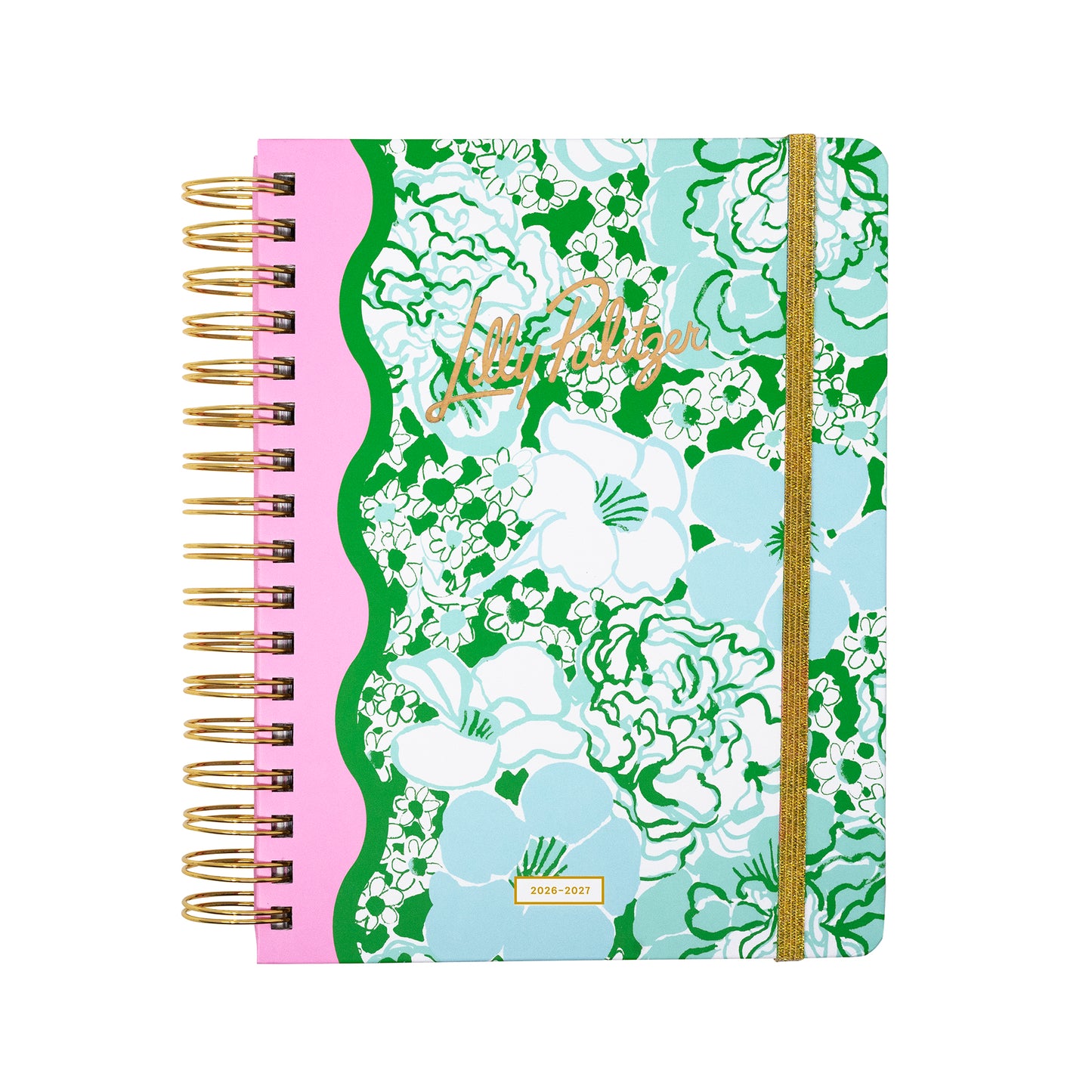 Large 17 Month Agenda, Mint Condition Burst of Joy