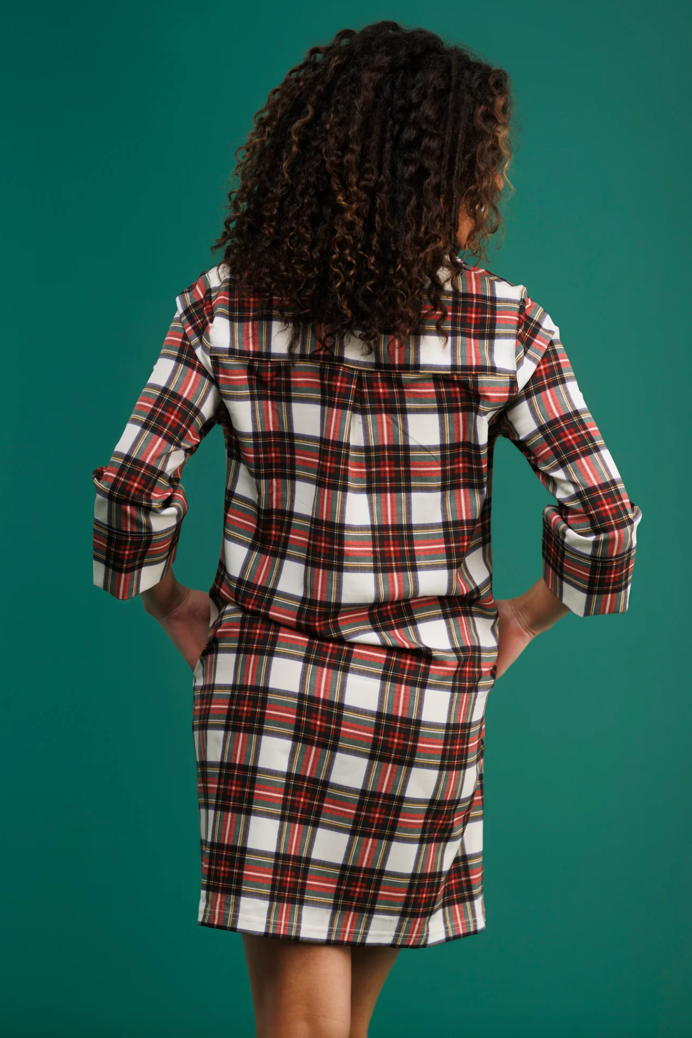 Sophia Dress - Winter Tartan