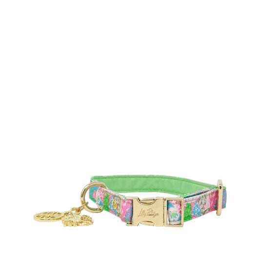 Dog Collar - Crazy Quilt (S/M)