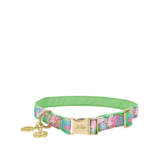 Dog Collar - Crazy Quilt (M/L)