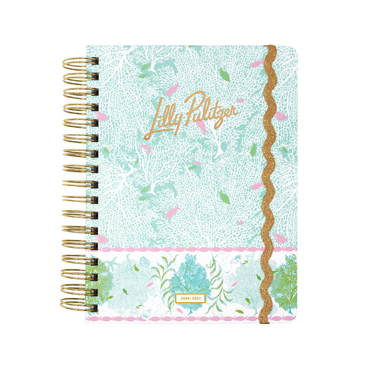 Large 17 Month Agenda, Fantastical for Home