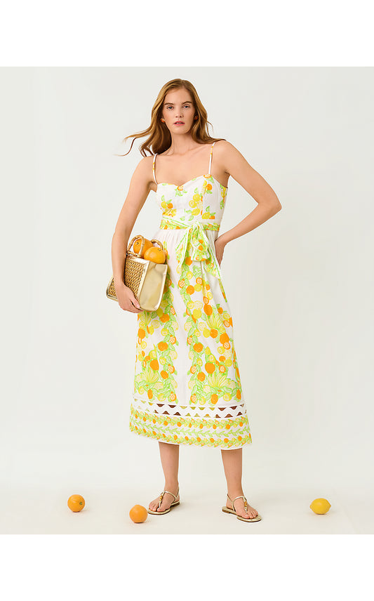 Katina Midi Dress - Zesty Engineered