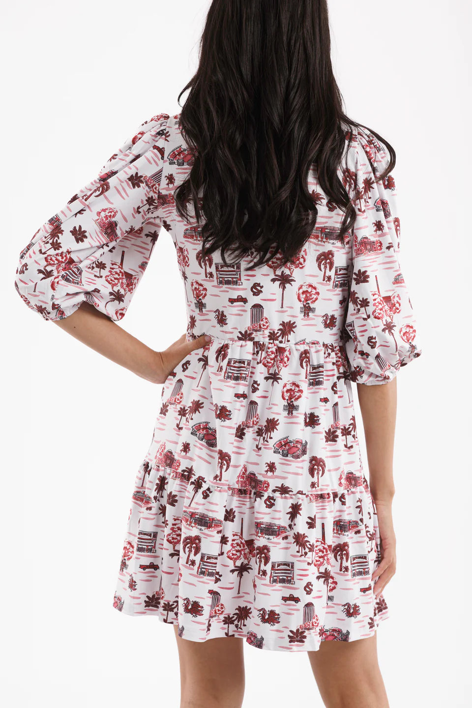 The Tory Dress  - Gamecock Toile