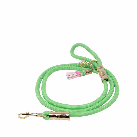 Pet Leash - Crazy Quilt